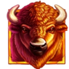young buffalo song buffalo symbol