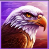 young buffalo song eagle symbol