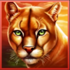 young buffalo song wild cat symbol