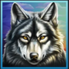 young buffalo song wolf symbol