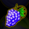 zig zag seven grapes symbol