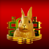 zodiac lantern rabbit golden rabbit symbol