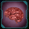 zomb city brain symbol