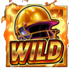 1st cricket league wild symbol