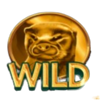 20 armadillos wild 1 symbol