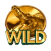 20 armadillos wild 2 symbol