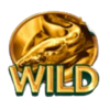 20 armadillos wild 3 symbol