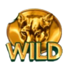 20 armadillos wild 4 symbol