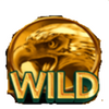 20 armadillos wild 5 symbol