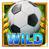 20 wild goals dice wild symbol