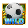 20 wild goals wild symbol