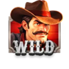 3 charge buffalo wild 2 symbol