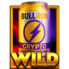 3 crypto billionaires hold and win wild symbol