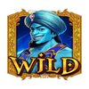 3 genie wishes wild symbol