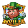 3 lucky leprechauns wild3 symbol
