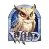 3 royal dracos wild owl symbol