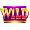 40 hold hot hold and win wild symbol