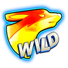 4 the win wild wild symbol