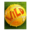 5 doggy dollars wild symbol