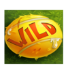 5 doggy millionaires wild symbol