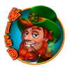5 leprechaun roll clover chance wild symbol