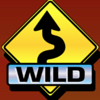 5 reel drive wild symbol