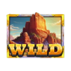 5 wild buffalo 3 wild symbol