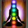 7 chakras wild 1 symbol