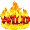7s take it or build it wild symbol
