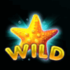 9 pearls of fortune wild symbol