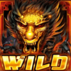 action dragons wild symbol