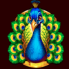 adorned peacock wild symbol