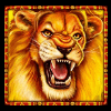 african cats wild symbol