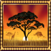 african quest wild symbol
