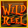 alice adventure wild symbol