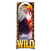 all american riches 2 symbol