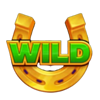 always fruits 27 classic series wild symbol