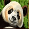 amatic industries big panda wild symbol
