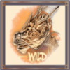 amazing gaming fortune dragon wild symbol
