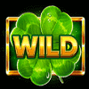 amigo lucky fruits wild symbol
