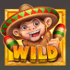 amigo monkey wild symbol