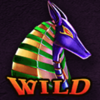 amon ras relic wild symbol