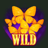 arcane woods wild symbol