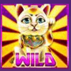 astro cat wild symbol