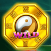 bagua wild symbol