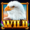 bald eagle wild symbol