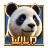 bamboo bear deluxe wild symbol