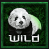 bamboo bear powerpoints wild symbol