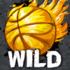 basketball legends wild symbol