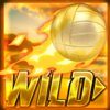 beach volley wild symbol